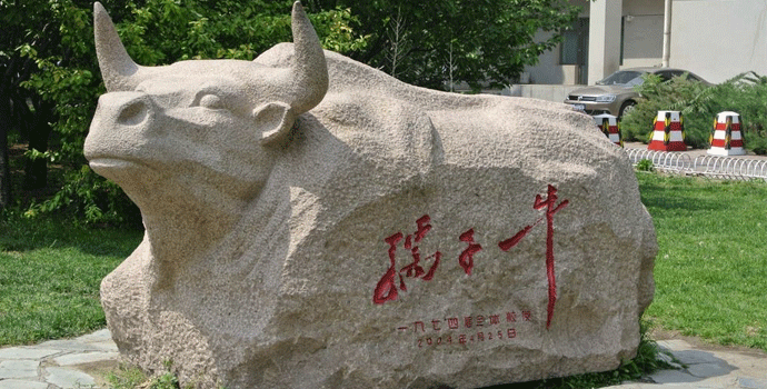 孺子牛.gif 孺子牛.gif